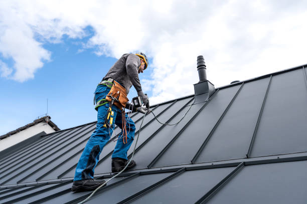 Best Roof Maintenance and Cleaning  in Union Grove, WI